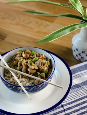 Kung Pao Chicken (Chicken and Peanuts)