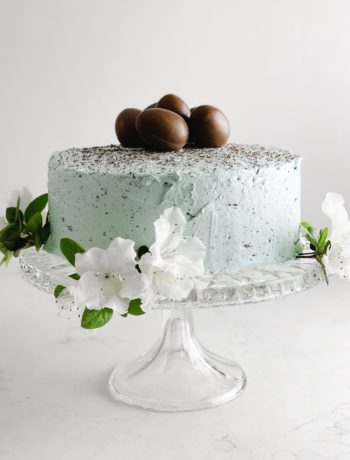 Robin's Egg Cake with Swiss Meringue Buttercream Icing